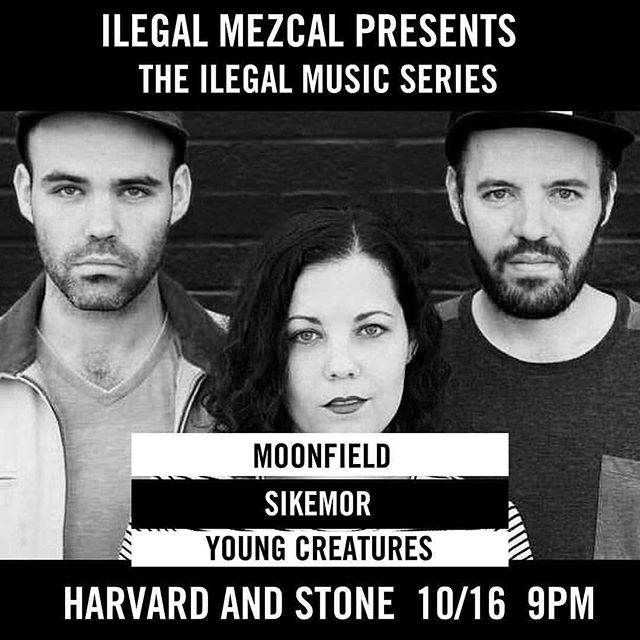 H&S Faves @sikemor_theband return to play the Ilegal Music Series tonight with guests @young_creatures & @moonfield_ca resident DJs @youaretheentireuniverse will be spinning and @charlieclarkmusic & @pluckyeah will be hosting! #harvardandstone #houstonhospitality #hollywood #ilegalmusicseries #ilegalmezcal #idratherhaveabottleinfrontofmethanafrontallobotomy